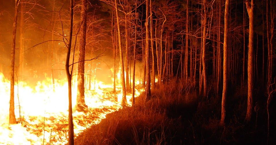 17427-a-wildfire-burning-pv
