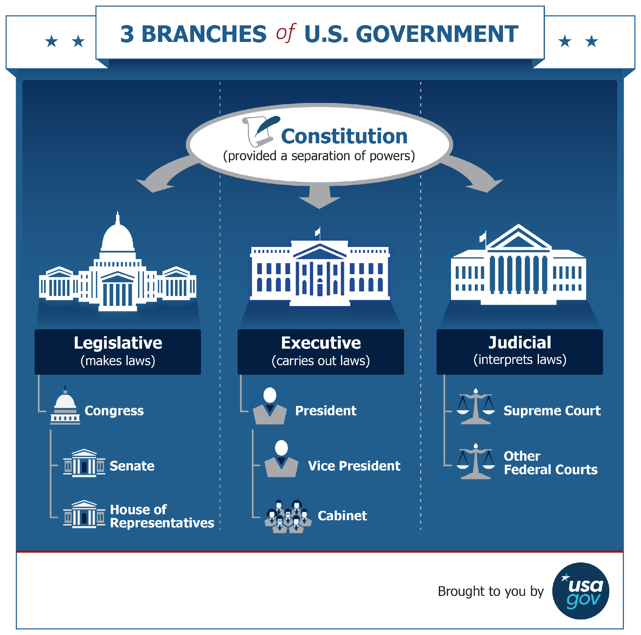 USA_Government_Branches_Infographic